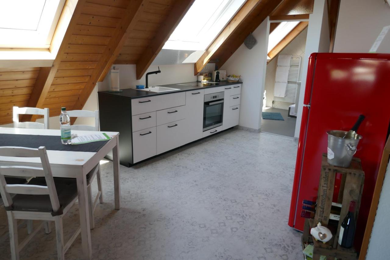 Moderne 2 Zi - Fewo Weinbergliebe Am Tuniberg Zwischen Freiburg Und Frankreich Merdingen エクステリア 写真